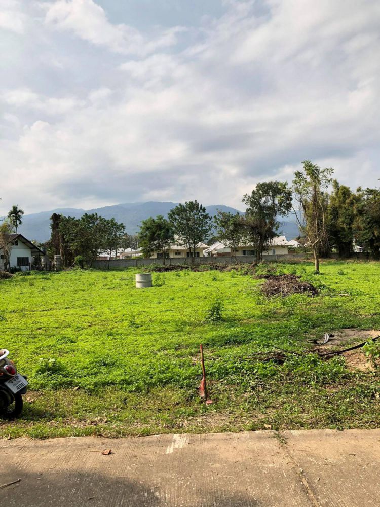 ให้เช่าที่ดิน - ให้เช่าที่ดินเปล่า 2 ไร่ วิวดอย มีแหล่งน้ำธรรมชาติ น้ำไหลทั้งปี อยู่ในชุมชน ต. ดอนแก้ว. อ.แม่ริม จ.เชียงใหม่