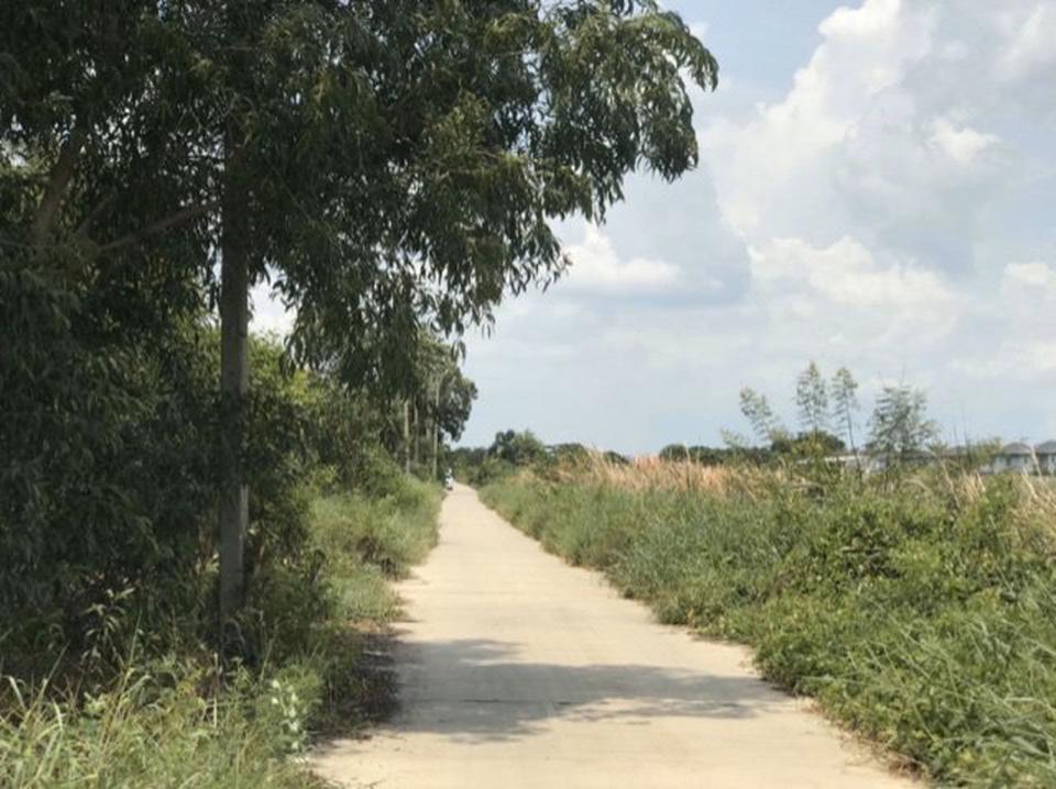 ขายที่ดิน - ขายที่ดินรังสิตคลองสาม 1ไร่ 30ตรว ปทุมธานี