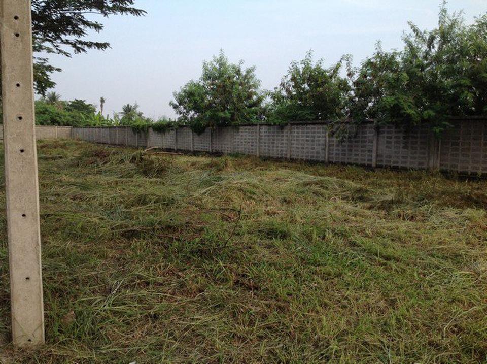 ขายที่ดิน - ขายด่วนที่ดิน หมู่บ้านโนเบิ้ลอุทยาน ติดถนนอุทยานขายด่วนที่ดิน หมู่บ้านโนเบิ้ลอุทยาน ติดถนนอุทยาน