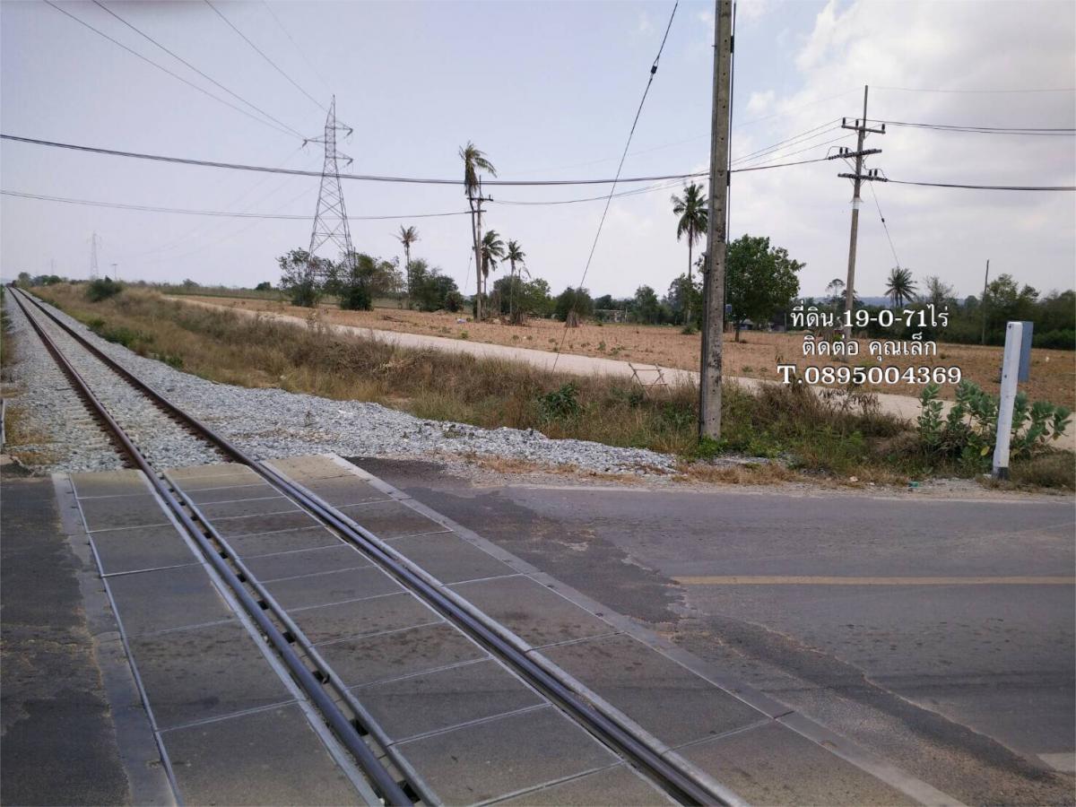 ขายที่ดิน - ที่ดินนาจอมเทียน สัตหีบ ชลบุรี ติดถนน ติดแนวรถไฟความเร็วสูง ใกล้สถานีรถไฟญาณสังวราราม 19 ไร่ ที่สวยราคาถูก ด่วน