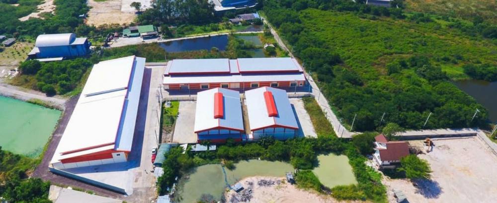 ขายโรงงาน / โกดัง - ขายโกดังสร้างใหม่ ราคาถูก รายละเอียดโกดังสร้างบนพื้นที่สีม่วง 100% ขอ ร. ง. 4 ได้