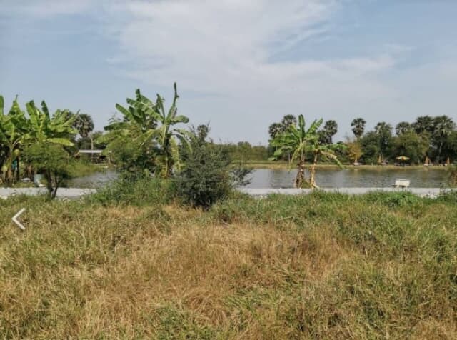 ขายที่ดิน - ขายที่ดินเปล่า เนื่อที่ 200 ตรว พัฒนาการ-อ่อนนุชตัดใหม่