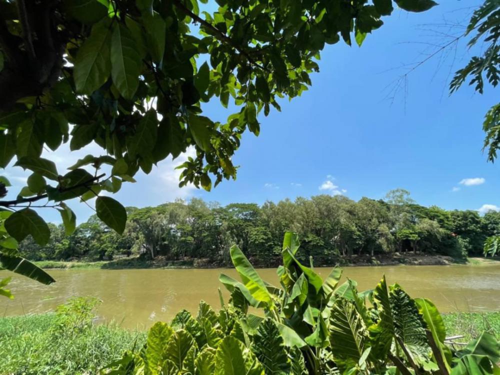 ขายบ้าน - บ้านสวนติดแม่น้ำปิง เป็นอีกหนึ่งความฝันของหลายๆคน ที่อยากมีบ้าน ที่ดิน ติดกับแม่น้ำปิง ที่มีน้ำไหลผ่านกลางเมืองเชียงใหม่ตลอดปี (ป่าตัน)