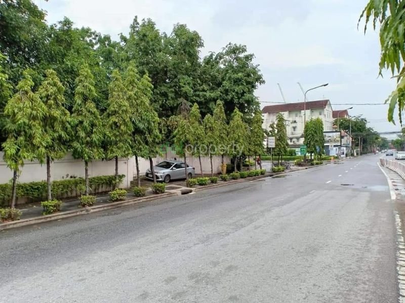 ขายที่ดิน - ขายที่ดินทำเลทอง ใกล้รถไฟฟ้าBTS สถานีบางจาก เหมาะสำหรับทำคอนโด ตั้งติดซอยสุขุมวิท 62