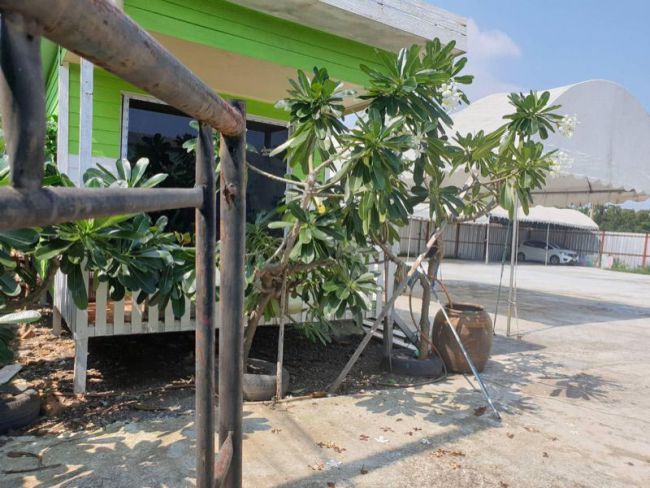 ขายที่ดิน - ขายที่ดินเปล่า 415 ตร.ว แปลงสวย หัวมุม รังสิต ลำลูกกา คลอง1ไร่ 15ตารางวา