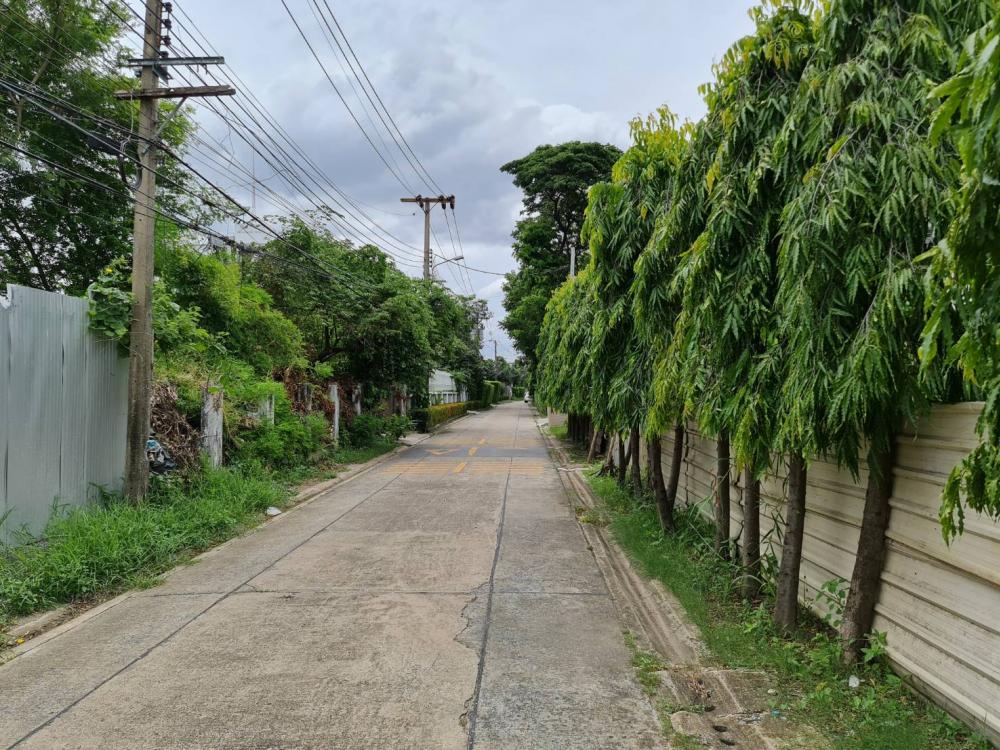 ขายที่ดิน - ขายที่ดินสวยมาก เนื้อที่ 197 ตรว สุขุมวิทซอย 101 สถานีรถไฟฟ้าปุณณวิถี