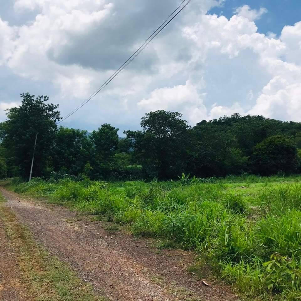 ขายที่ดิน - ขายที่เขาใหญ่ กุดคล้าผ่านศึก บ้านเหวปลากั้ง 4 ไร่ ที่สวย ขายถูกมากที่สุดในนั้น ใกล้เส้นธนรัชต์ ใกล้สนามกลอฟ์ เขาใหญ่คันทรี่คลับ ด่วนร้อน!