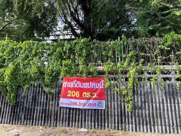 ขายที่ดิน - ขายที่ดินเปล่าแปลงมุม สวย หมู่บ้านเมืองทอง 2/2(ซอย13) ซอยพัฒนาการ 61 ขนาด 206 ตรว ทำเลดี เหมาะสร้างบ้าน ออฟฟิศ