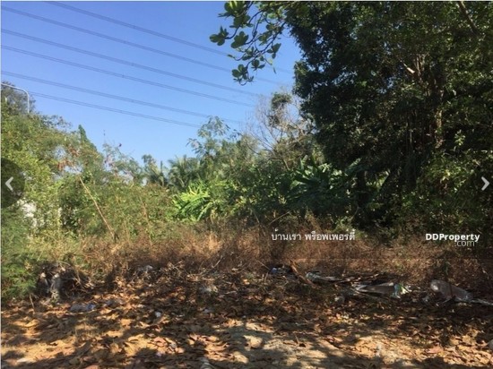 ขายที่ดิน - ขายที่ดิน พุทธมณฑล สาย 3 ซอย 22 บรมราชชนนี เพชรเกษม