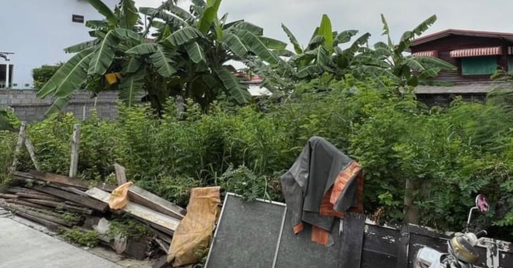 ขายที่ดิน - ขายที่ดินเปล่าพหลโยธิน 48 แยก 21 ร่วมพัฒนา 33 แยก 32 บางเขน กรุงเทพมหานคร