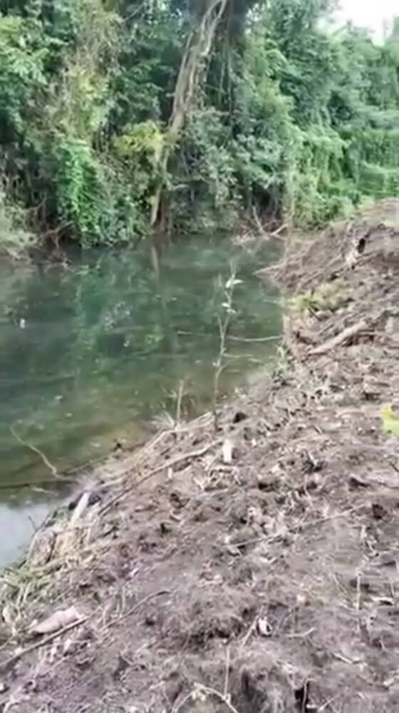 ขายที่ดิน - ขายที่ดินเขาใหญ่ติดน้ำ 20 ไร่ แบ่งขายได้ 4-5 ไร่ ที่อยู่หลังมิดวินเทอร์เขาใหญ่ เส้นธนะรัชต์ ติดถนนสาธารณะ ด้านหลังติดลำธารน้ำไหล ด่วนขายถูก ราคาร้อน