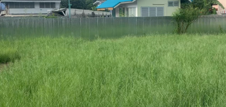 ขายที่ดิน - ขายที่ดินเปล่า 150ตรว ถมแล้ว ใกล้รถไฟฟ้า 600ม สถานีเพชรเกษม 48