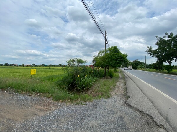 ขายที่ดิน - ขายที่ดิน 146 วา. แปลงมุมติดซอย กว้าง 14x40 ม. ซอยสังฆสันติสุข เหมาะปลูกบ้าน