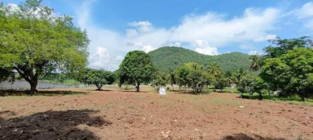 ขายที่ดิน - ขายที่เขาใหญ่ โบนันซ่า 6 ไร่ ที่วิวเขาสวย ติดลาดยาง ใกล้ธนะรัชต์ อยู่ใกล้ สวนสัตว์โบนันซ่าเขาใหญ่ ขนงพระ เหมาะทำโรงแรม บ้านพักพูลวิลล่า