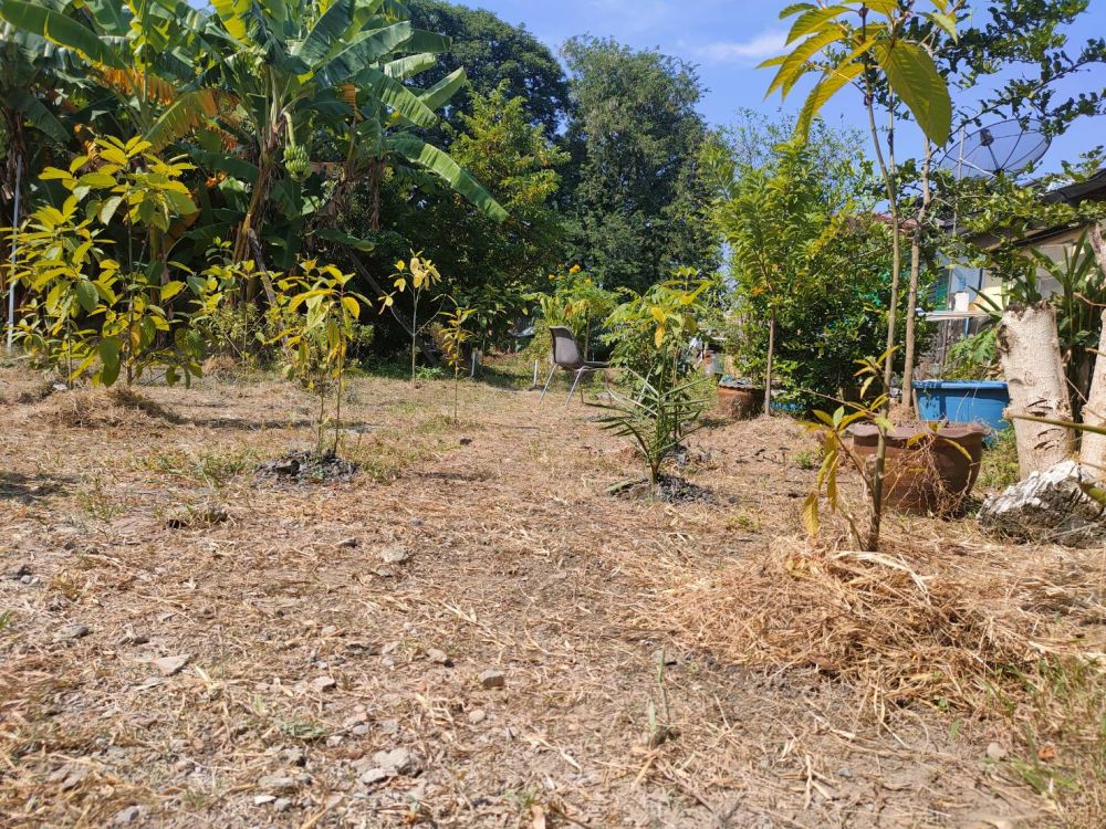 ขายที่ดิน - ขายที่ดินเปล่า 136 ตรว. ใจกลางเมือง (ซ.ลาดปลาเค้า 76)