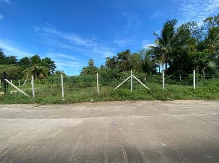 ขายที่ดิน - ขาย คุ้มสุดๆ ที่ดิน ห้วยใหญ่ 750 ตรว ราคา 11.5 ล้าน