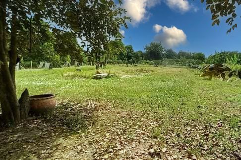 ขายที่ดิน - ที่ดิน สุวินทวงค์ 110 หนองจอก กระทุ่มราย กรุงเทพมหานคร