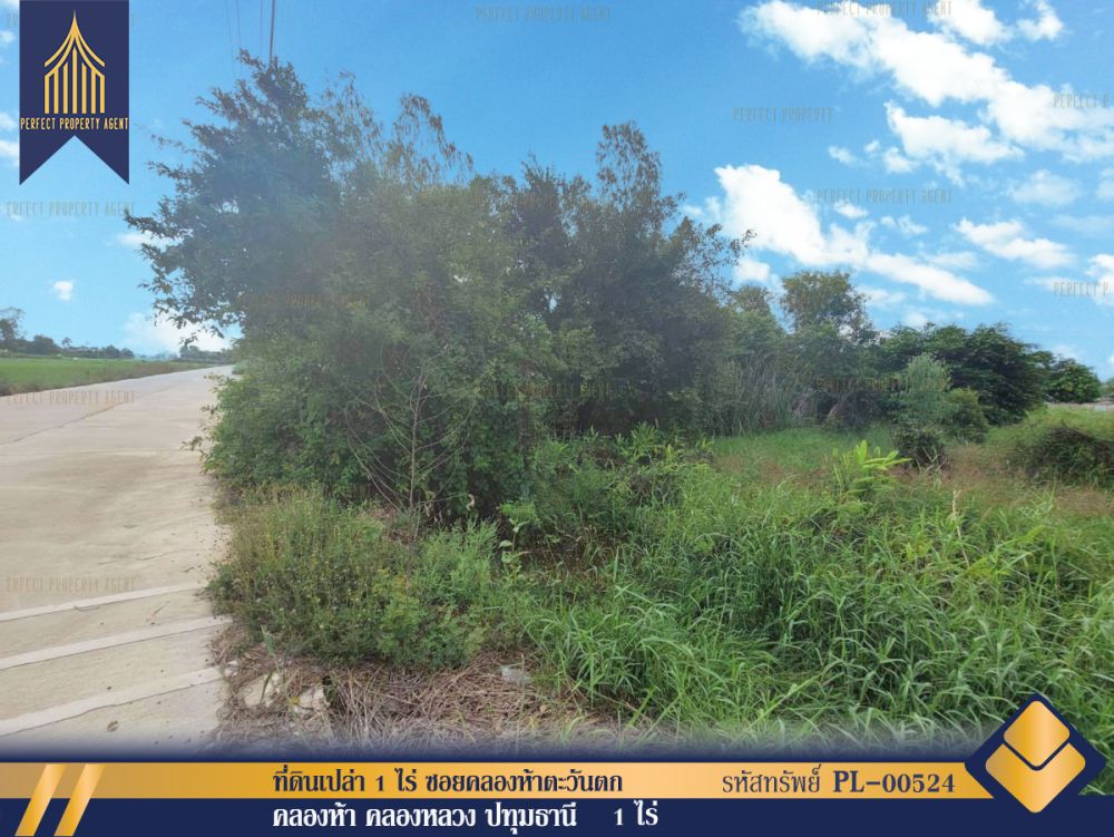 ขายที่ดิน - ที่ดินเปล่า 1 ไร่ ซอยคลองห้าตะวันตก คลองหลวง ปทุมธานี