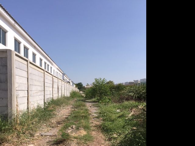 ขายที่ดิน - ขายด่วนที่ดินแปลงสวยไม่แพง1ไร่เลียบคลองสองคลองสามวาใกล้ซาฟารีเวิลด์