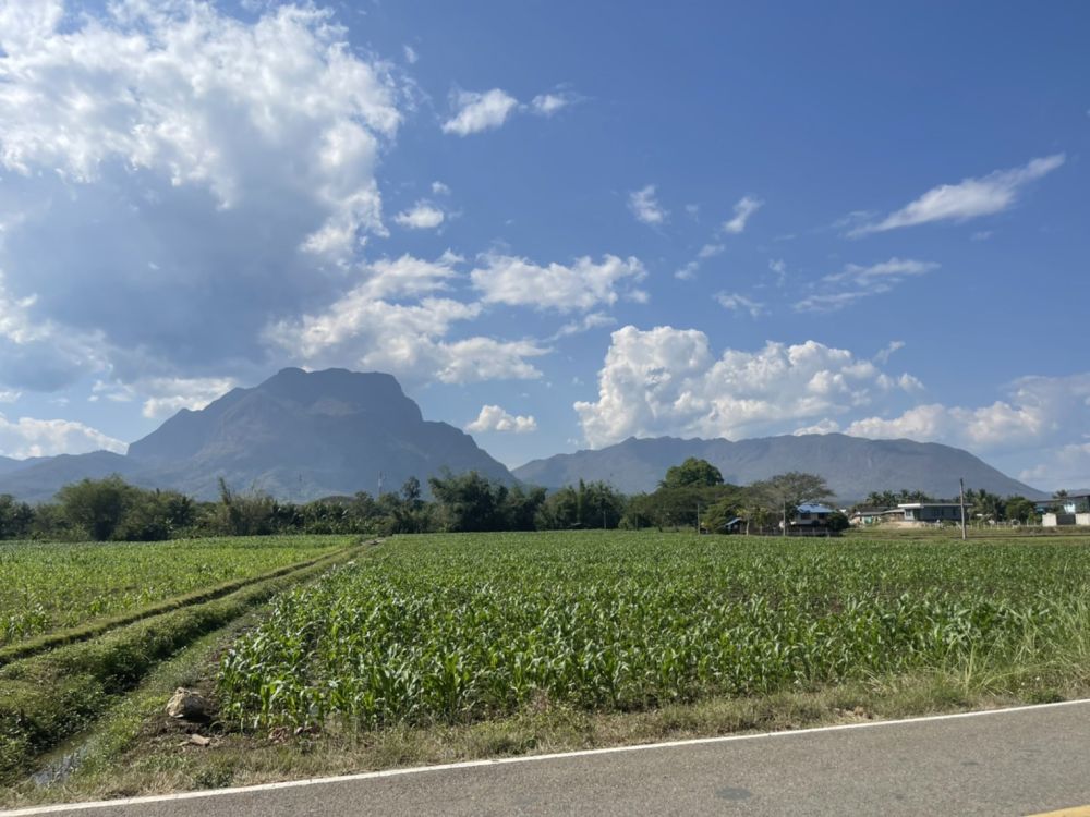 ขายที่ดิน - ขายที่ดินเชียงดาวแปลงเล็ก 2 ไร่ 1 งาน 39 ตรว. ทำเลทอง วิวดอยหลวง