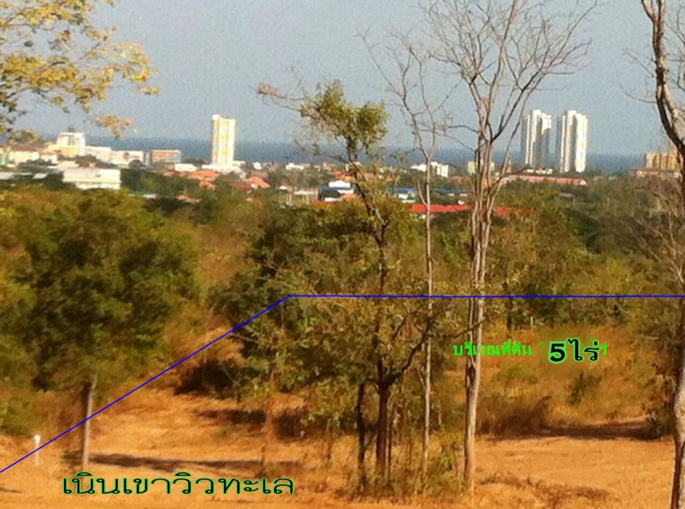 ขายที่ดิน - ที่ดินเนินเขาวิวทะเลหัวหินซอย 88 ข้างศาลหัวหิน ใจกลางเมือง สร้างอาคารสูงได้ เนื้อที่ 5 ไร่ ตำบลหัวหิน อำเภอหัวหิน จังหวัดประจวบคีรีขันธ์