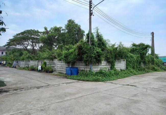 ขายที่ดิน - ขายที่ดินหมู่บ้านหมอนทอง คลอง8 ถนนลำลูกกา อำเภอลำลูกกา ปทุมธานี