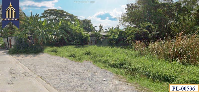 ขายที่ดิน - ที่ดินลาดพร้าว101 เหมาะสมพัฒนาเชิงพาณิชย์เดินทางสะดวกสบายย่านธุรกิจ