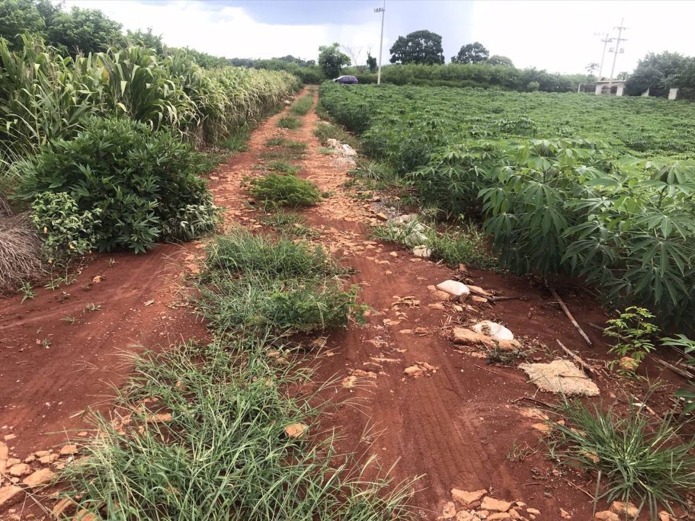 ขายที่ดิน - ขายที่ดินเขาใหญ่ 11-3-58.ไร่ เขาใหญ่ ต.หมูสี อ.ปากช่อง จ.นครราชสีมา