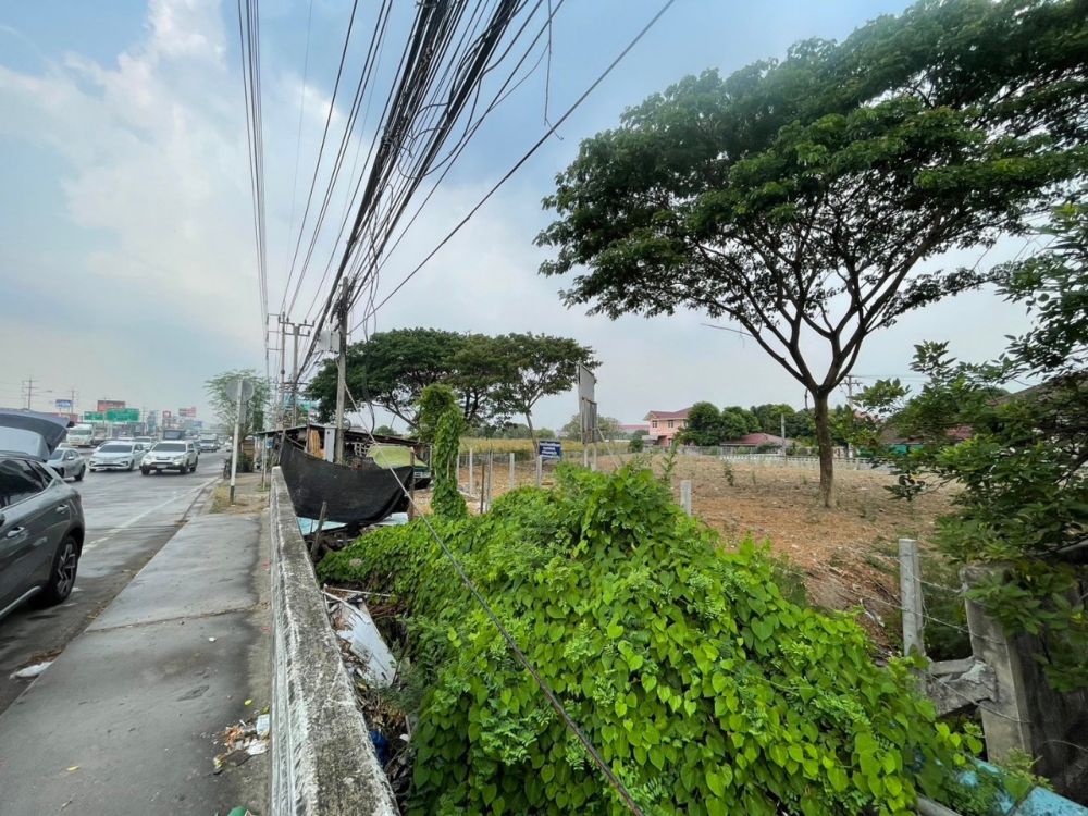 ขายที่ดิน - ขายที่ดิน ริมถนนกาญจนา อยู่ใกล้กับเซนทรัล เวสต์เกตท์
