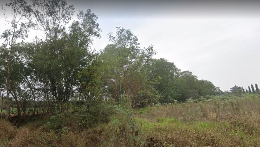 ขายที่ดิน - ขายที่ดิน พัทยา ชลบุรี ขนาด 38 ไร่ ทำเลดี ติดถนน ใกล้ถนนพัทยา-มาตราพุด