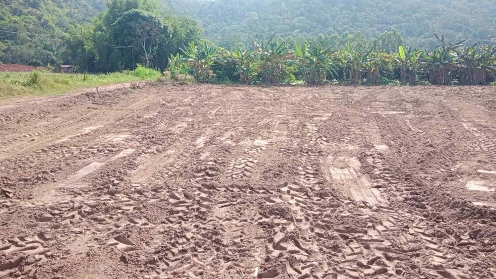 ขายที่ดิน - ขายด่วน ที่ดินถมแล้วพร้อมปลูก และก่อสร้าง ปังธงชัย นครราชศรีมา