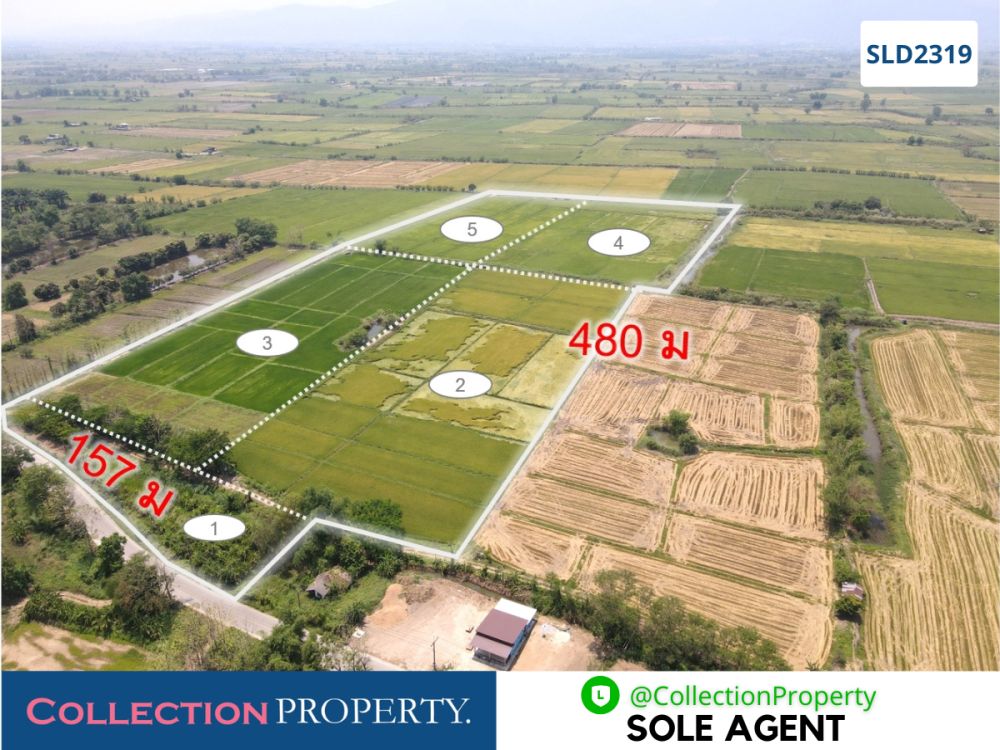 ขายที่ดิน - ขายที่ดินเพื่อการเกษตรแปลงใหญ่เป็นโฉนด 61.5 ไร่ ติดถนนใหญ่ จ.เชียงราย