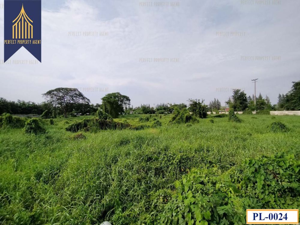 ขายที่ดิน - ที่ดิน 7 ไร่ คลองสาม-ปทุมธานี ติดถนนใหญ่สายหลักเหมาะแก่การลงทุน