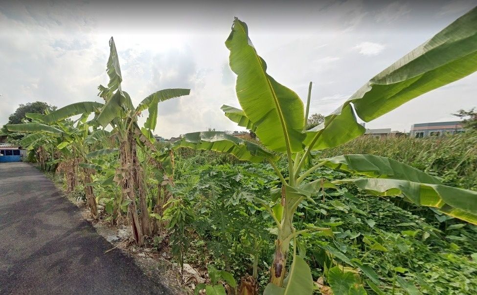 ขายที่ดิน - ขายที่ดินเปล่า ซอยติวานนท์ หลังสถาบันทรวงอก ใกล้ศูนย์ราชการนนทบุรี!