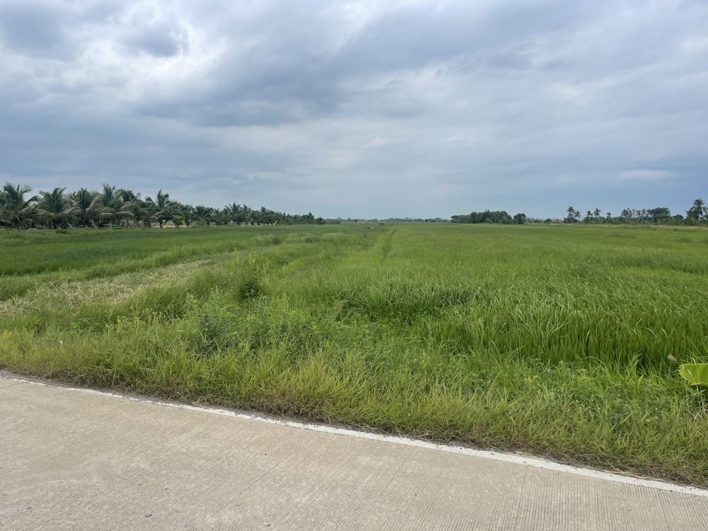 ขายที่ดิน - ขายที่ดินติดถนนเลียบคลอง 15 บางน้ำเปรี้ยว เนื้อที่ 18 ไร่ ใกล้ตลาดสดคลอง 16 ขายไร่ละ 5.5 แสน