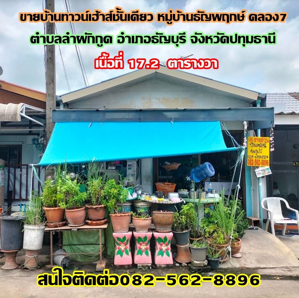 ขายทาวน์เฮาส์ - ขายบ้านชั้นเดียว หมู่บ้านธัญพฤกษ์ คลอง7 อำเภอธัญบุรี จังหวัดปทุมธานี