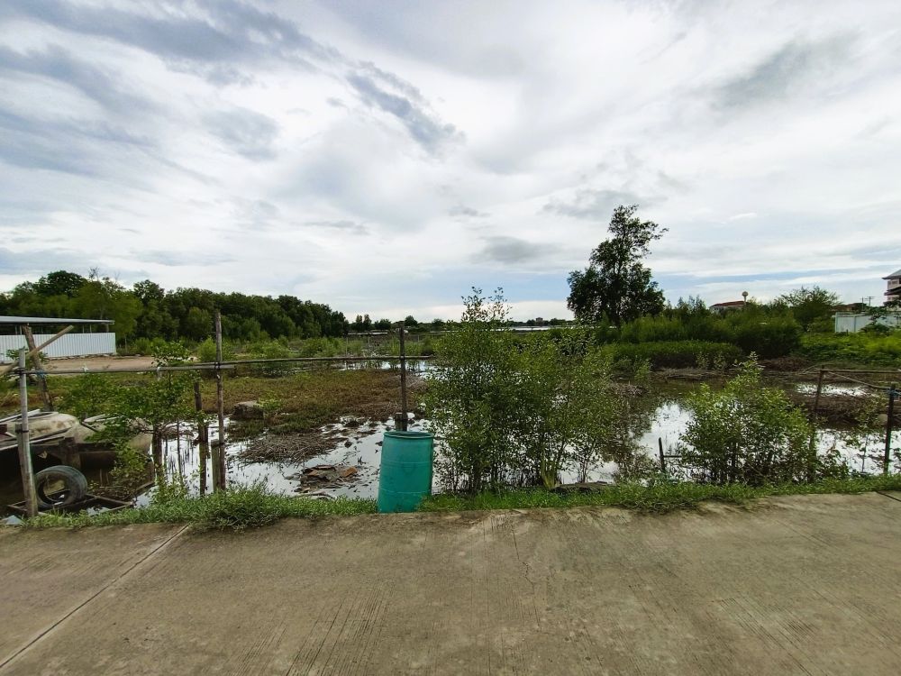 ขายที่ดิน - ขาย ที่ดิน 300 ตารางวา ซอยเทศบาลบางปู 126 (ชอยคลองตาก๊ก) ต.บางปู อ.เมืองสมุทรปราการ สมุทรปราการ