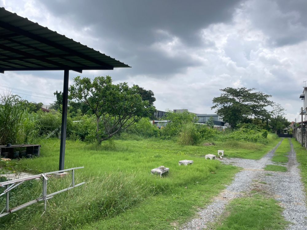 ขายที่ดิน - ขายที่ดิน 304 ตรว. 95 x 12 ม. พร้อมบ้านไม้ชั้นเดียว เข้าซอยลาดปลาเค้า วังหิน6/1 เพียง 200 ม. เขตลาดพร้าว