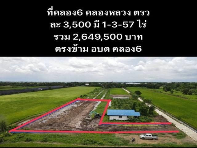 ขายที่ดิน - ขายถูก ที่ดิน คลอง 6 อ.คลองหลวง ปทุมธานี ตรว.ละ 3,500 บาท ใกล้แหล่งชุมชน อยู่ฝั่งตรงข้าม อบต. คลอง 6
