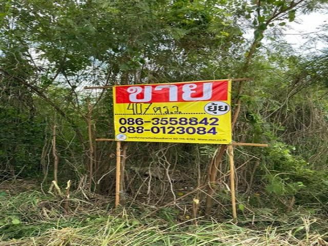 ขายที่ดิน - ขายที่ดิน พัฒนาการ 58 หมู่บ้านเอื้อสุข ซอย 9 ซอยโรงเรียนเตรียมอุดมศึกษาพัฒนาการ เนื้อที่ 407 ตารางวา 
