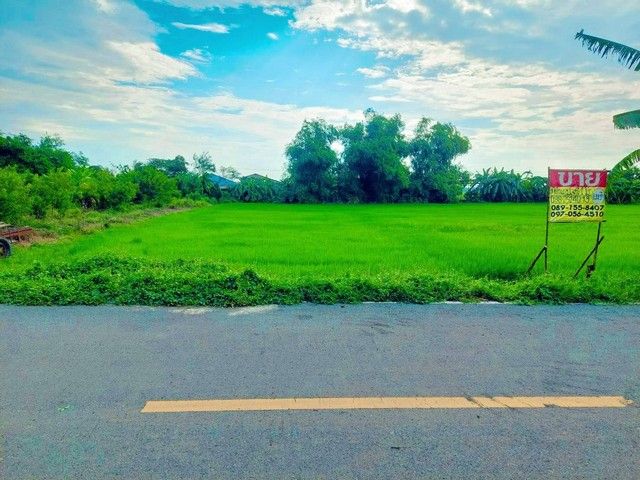 ขายที่ดิน - ขายด่วนที่ดินสวย 400 ตร.วา คลองหลวง คลองห้า ปทุมธานี ZT242