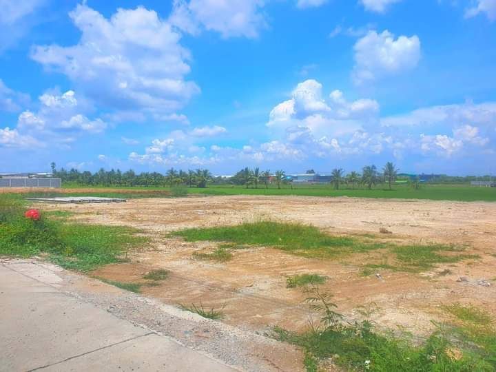 ขายที่ดิน - ด่วน ขายที่ดินทำเลดี ราคาเริ่มต้น1.6ล้านบาท บางบัวทอง นนทบุรี