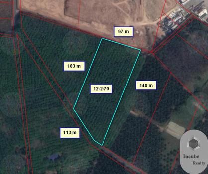ขายที่ดิน - มาแล้ว! ขายที่ดิน หนองอิรุณ ชลบุรี 12-2-70 ไร่ 32 ล้านบาท