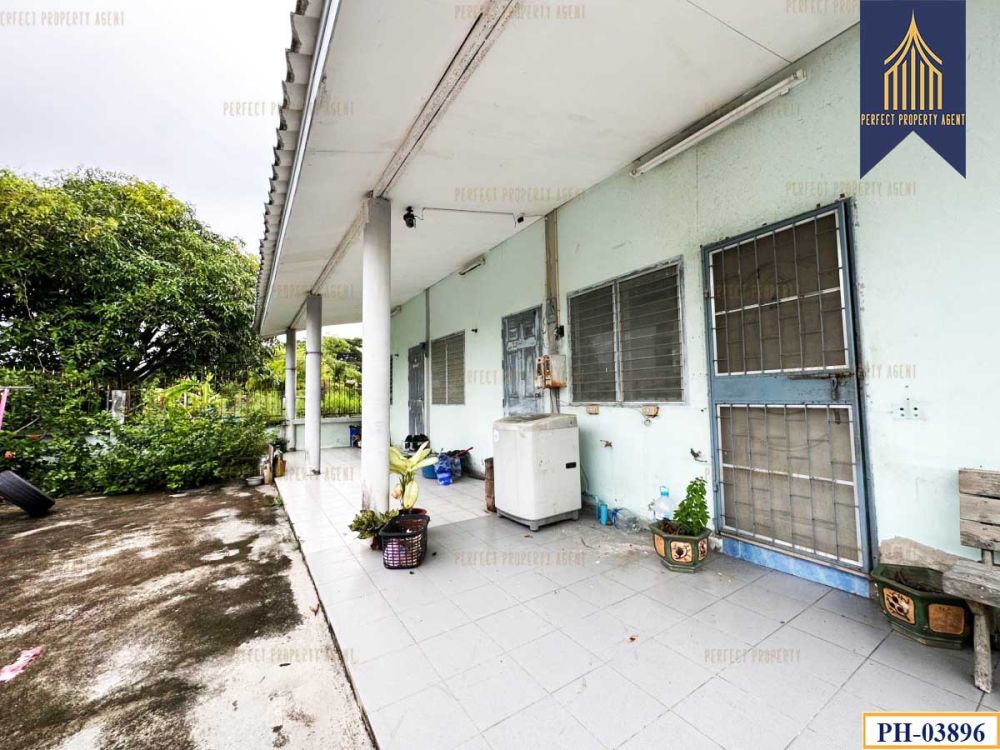 ขายบ้าน - บ้านเดี่ยวสร้างเอง พร้อมห้องเช่า ใกล้บางแสน ถนนสุขุมวิท ชลบุรี