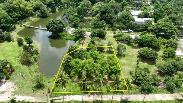 ขายที่ดิน - ขายที่ดินชลบุรี ที่ดินชลบุรี ที่ดินแปลงเล็ก ที่ดินติดน้ำ ที่ดินริมน้ำ ขายที่ดินติดน้ำชลบุรี ตำบลบางพระ ศรีราชา ชลบุรี 327 ตารางวา บรรยากาศดี