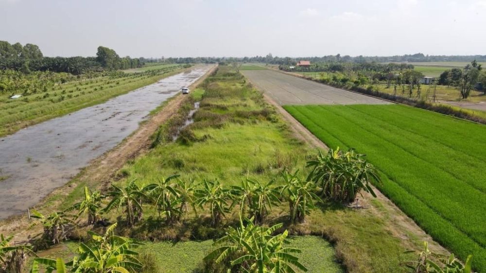 ขายที่ดิน - ขายที่ดินบึงบอน เริ่มต้น 150 ตรว. ใกล้ตลาดคลอง8วิลล่า - 5.3 กม. อ.หนองเสือ ปทุมธานี