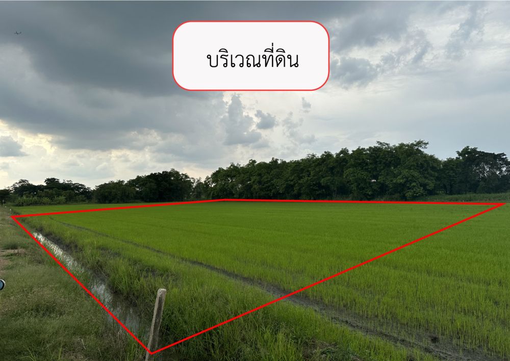 ขายที่ดิน - ขายที่ดิน 2 ไร่ คลองห้า ใกล้ถนนกาญจนภิเษก (หมายเลข 9) และพิพิธภัณฑ์วิทยาศาสตร์