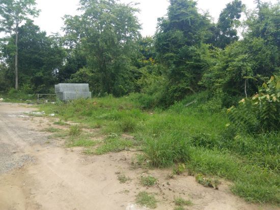 ขายที่ดิน - ขายที่ดินเปล่าหัวหิน 1 งาน17ตรว. ห่างรพ.หัวหิน1.9กม.