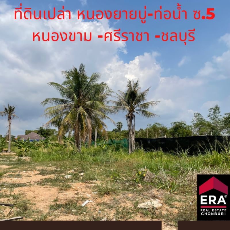 ขายที่ดิน - ขายที่ดินเปล่าหนองขาม 3 งาน 54 ตร.ว. น้ำ-ไฟ เข้าถึง ที่ดินสวย