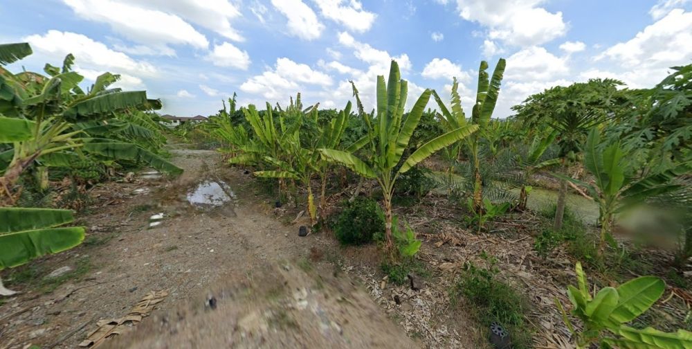 ขายที่ดิน - ขายที่ดินเปล่าแปลงใหญ่ ในซอยเทอดไท หลังซีคอนบางแค !